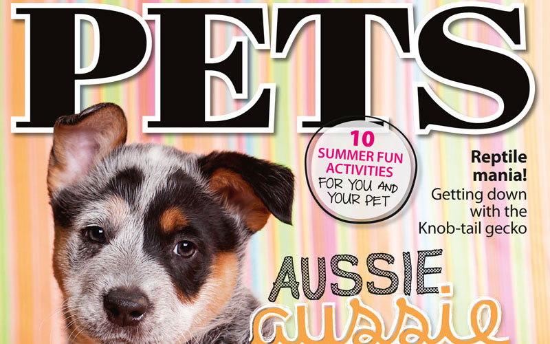 PETS 51: On Sale Now!