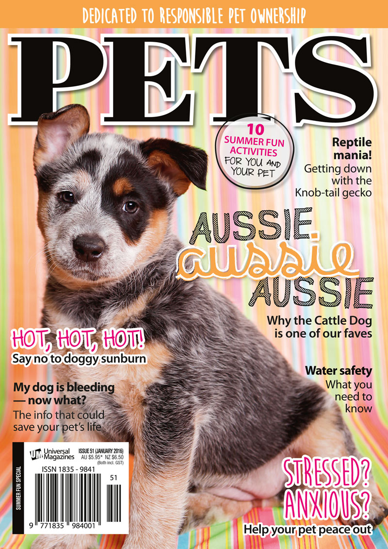 Pets 51 cover - http://www.universalshop.com.au/pets-magazine-subscription?search=pets