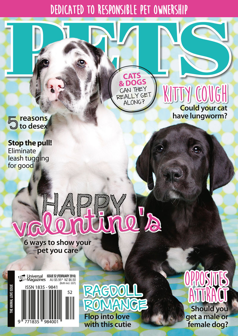 Pets 52 cover - Pets Magazine -http://www.universalshop.com.au/pets-magazine-subscription?search=pets