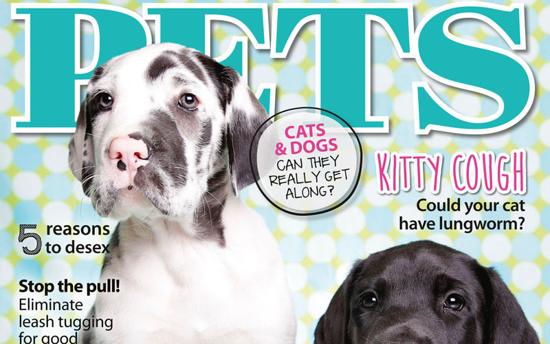 PETS 52: On Sale Now!