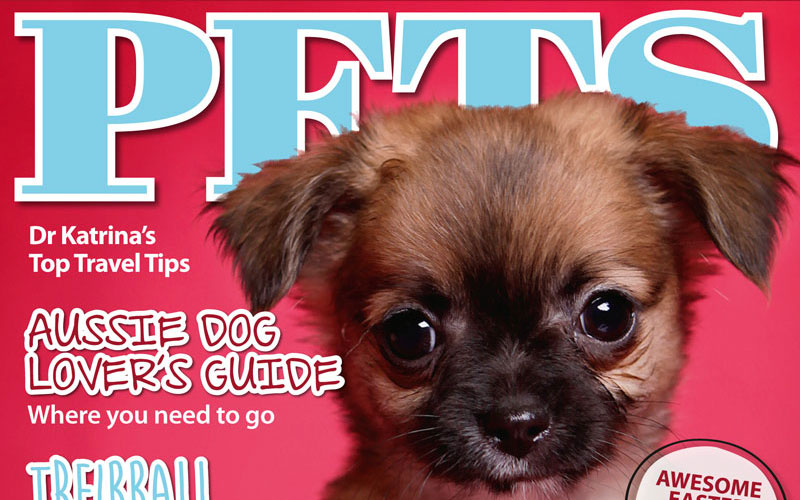 PETS 53: On Sale Now!