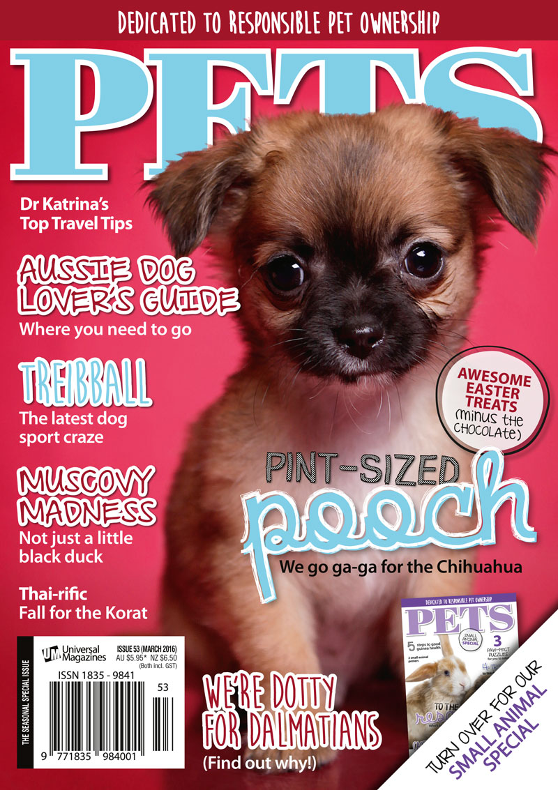 Pets 53 cover