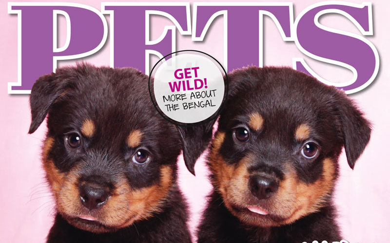 PETS 54: On Sale Now!