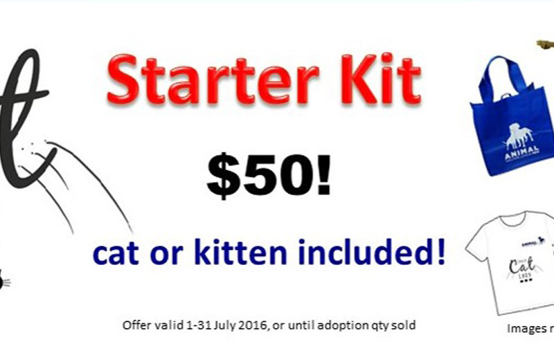Crazy Cat Lady Starter Kit