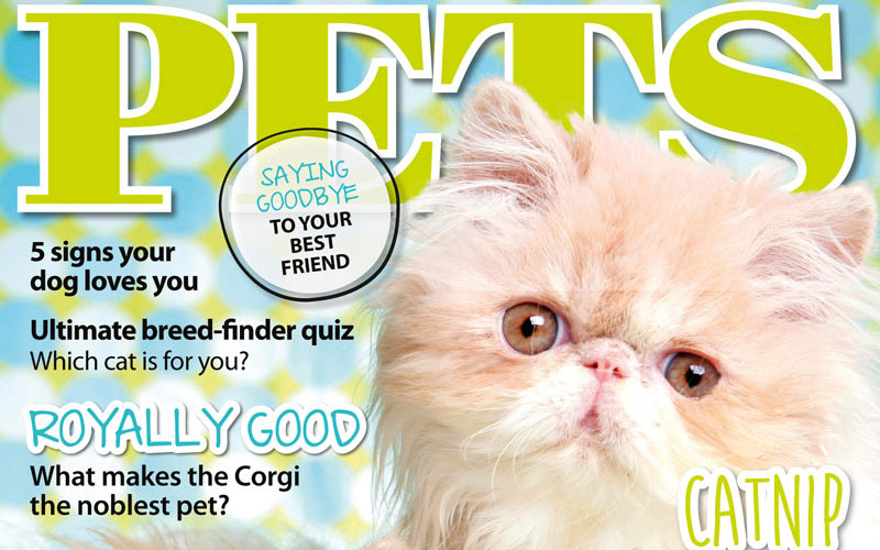 PETS 59: On Sale Now