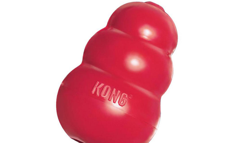 Kong Time: Puppy Play Time (Part 2)