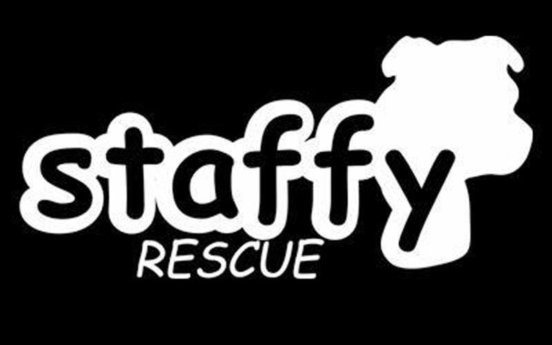 Staffy Rescue