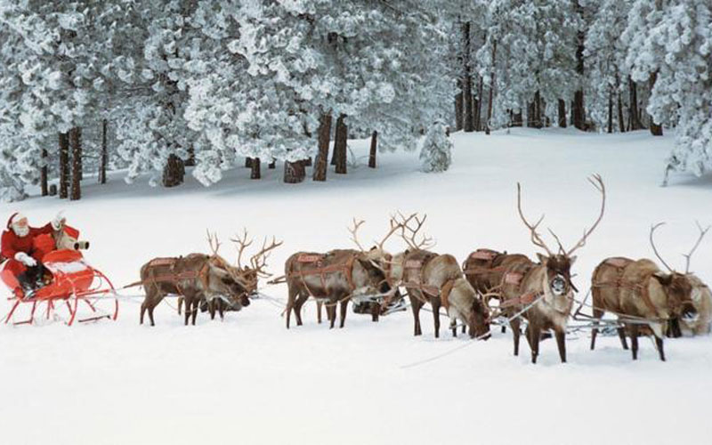 Which of Santa’s reindeer are you?