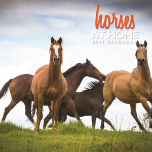 Horses-at-home-calendar-201