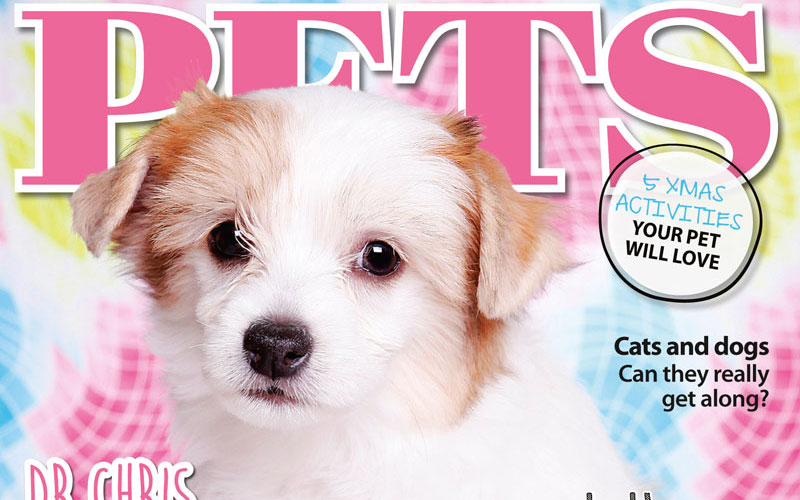 PETS 62: On Sale Now!