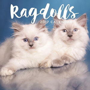 Ragdoll-calendar-2017