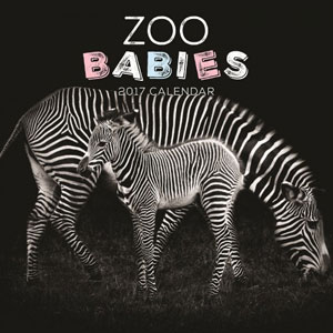 Zoo-babies-calendar-2017