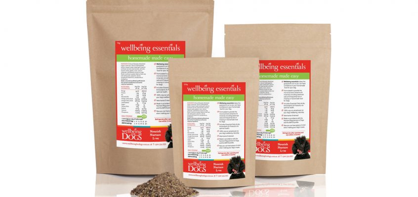 Wellbeing for Dogs: Wellbeing Essentials