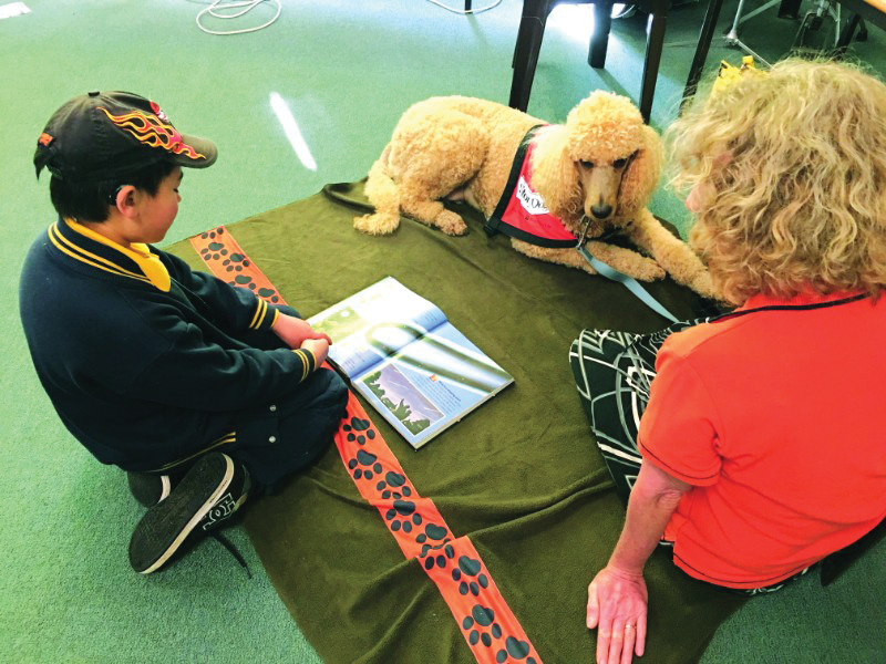 Story dogs: how canines are teaching children to read